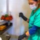 dicas-de-casa:-solucoes-simples-para-eliminar-o-odor-de-urina-no-banheiro