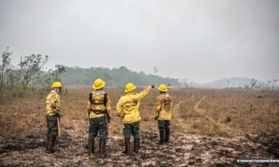governo-federal-adota-orcamento-de-emergencia-para-combate-a-incendios-florestais