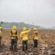 governo-federal-adota-orcamento-de-emergencia-para-combate-a-incendios-florestais