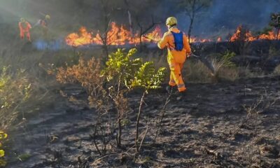 brigadista-que-prevenia-incendios-ganha-direito-a-adicional-de-periculosidade