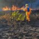 brigadista-que-prevenia-incendios-ganha-direito-a-adicional-de-periculosidade