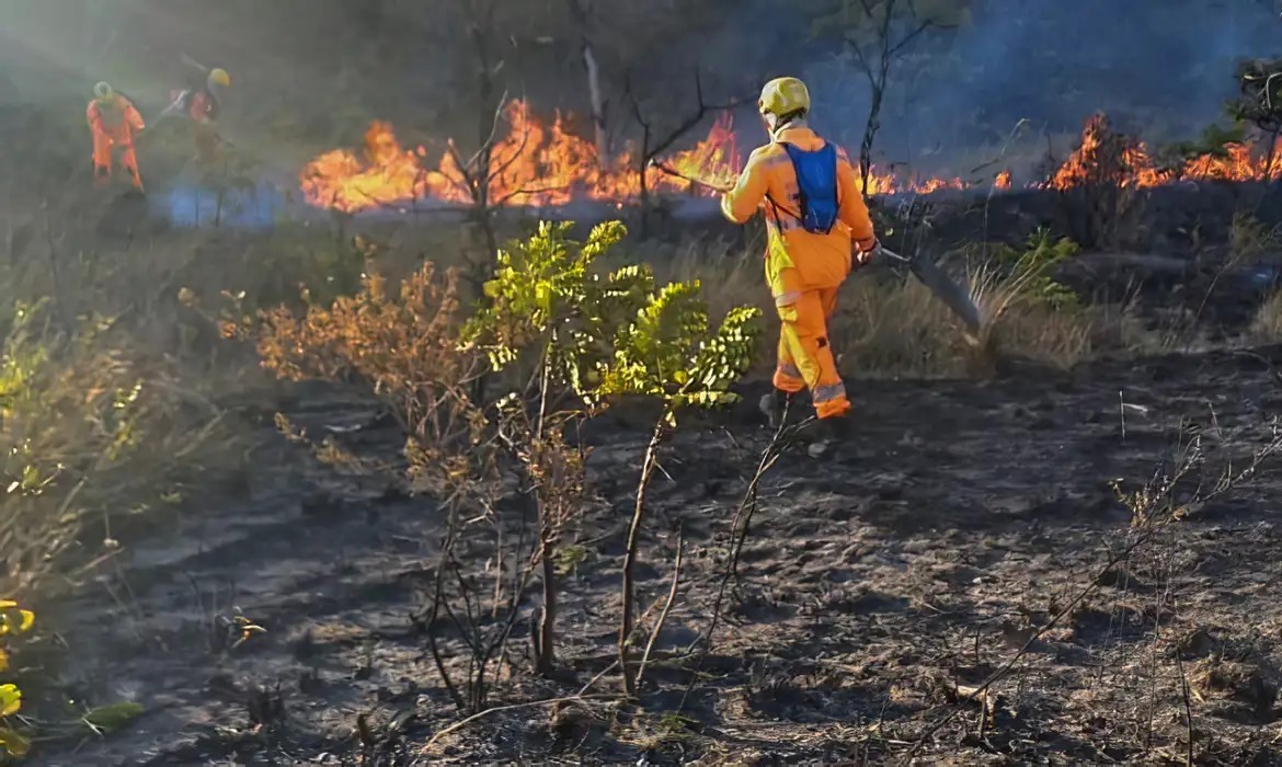 brigadista-que-prevenia-incendios-ganha-direito-a-adicional-de-periculosidade