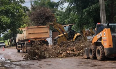 prefeitura-de-palmas-encerra-janeiro-com-balanco-positivo-das-acoes-de-limpeza-e-conservacao