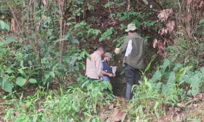 monte-do-carmo-registra-caso-de-febre-amarela-e-tocantins-amplia-medidas-de-prevencao;-confira