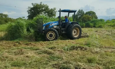 prefeitura-de-palmas-amplia-servico-de-rocagem-em-diversos-pontos-da-cidade