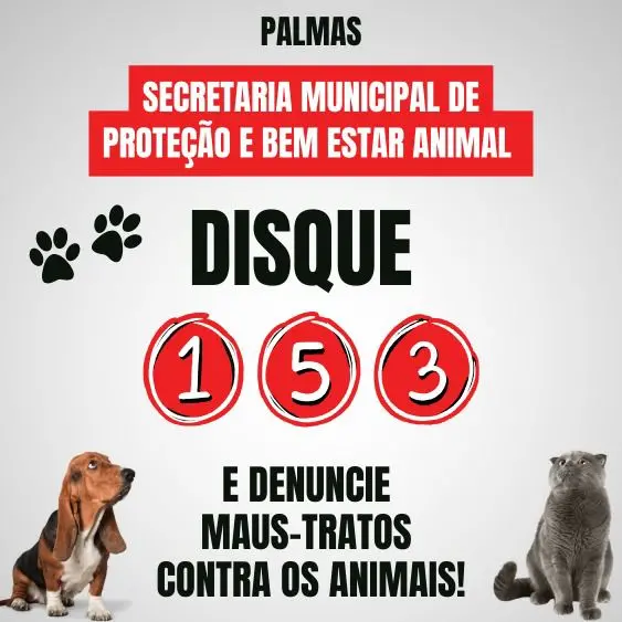 disque-153-e-denuncie-maus-tratos-contra-os-animais-–-secretaria-municipal-de-bem-estar-animnal