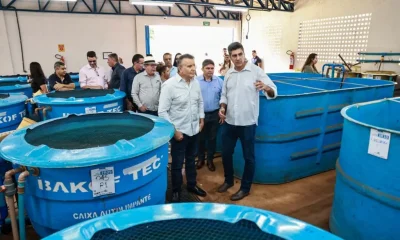 prefeitura-de-palmas-e-embrapa-unem-forcas-para-impulsionar-a-producao-rural-na-capital