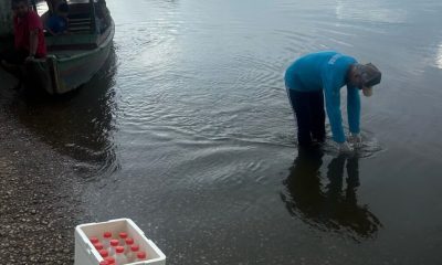 nivel-do-rio-formoso-sobe-mais-de-200-cm-em-2025-e-semarh-amplia-monitoramento;-saiba-detalhes