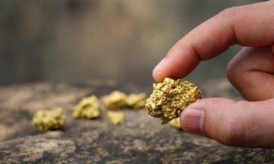 tocantins-exporta-374-kg-de-ouro-no-primeiro-bimestre-de-2025,-com-faturamento-de-us$-30,7-milhoes