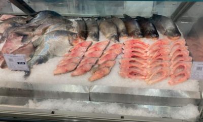 quaresma-impulsiona-consumo-de-peixe-e-aquece-mercado-aquicola-no-tocantins