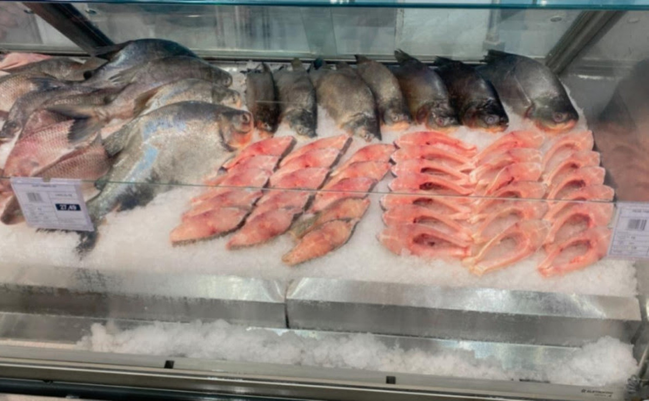 quaresma-impulsiona-consumo-de-peixe-e-aquece-mercado-aquicola-no-tocantins
