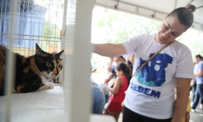 feira-de-adocao-de-palmas-inaugura-calendario-mensal-de-acoes-para-o-bem-estar-animal