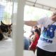 feira-de-adocao-de-palmas-inaugura-calendario-mensal-de-acoes-para-o-bem-estar-animal
