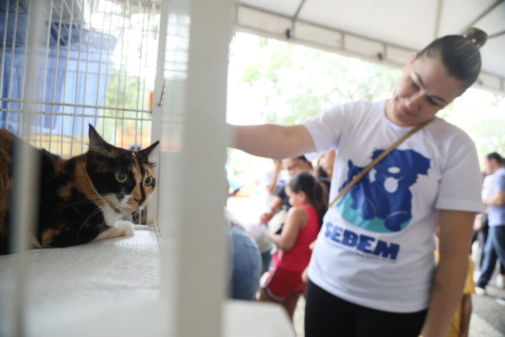 feira-de-adocao-de-palmas-inaugura-calendario-mensal-de-acoes-para-o-bem-estar-animal