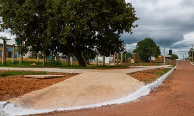 primeira-etapa-da-operacao-palmas-bem-cuidada-e-concluida-no-setor-santa-barbara
