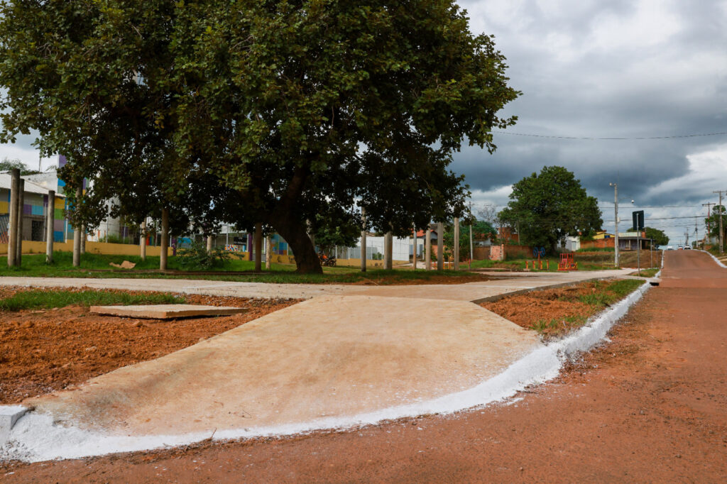 primeira-etapa-da-operacao-palmas-bem-cuidada-e-concluida-no-setor-santa-barbara