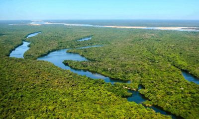 tocantins-recebe-mercuria-energy-em-unidade-de-conservacao-que-sera-restaurada-com-r$-120-milhoes