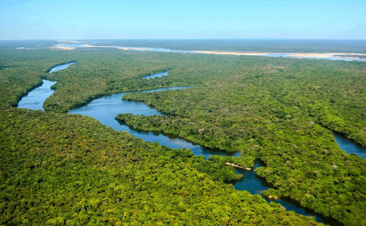 tocantins-recebe-mercuria-energy-em-unidade-de-conservacao-que-sera-restaurada-com-r$-120-milhoes