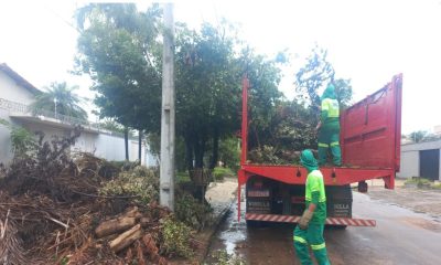 prefeitura-de-palmas-intensifica-servicos-de-coleta-de-galhadas-na-cidade