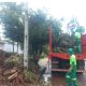 prefeitura-de-palmas-intensifica-servicos-de-coleta-de-galhadas-na-cidade