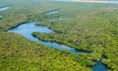 tocantins-lidera-na-regiao-norte-com-maior-indice-de-recuperacao-de-areas-degradadas