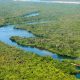 tocantins-lidera-na-regiao-norte-com-maior-indice-de-recuperacao-de-areas-degradadas