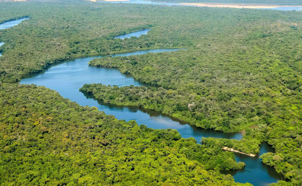 tocantins-lidera-na-regiao-norte-com-maior-indice-de-recuperacao-de-areas-degradadas