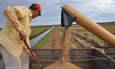 tocantins-e-o-3o-estado-que-mais-cresceu-no-valor-da-producao-agricola-entre-2018-e-2023