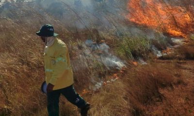 queima-prescrita-e-realizada-no-cantao-como-estrategia-de-prevencao-a-incendios-florestais