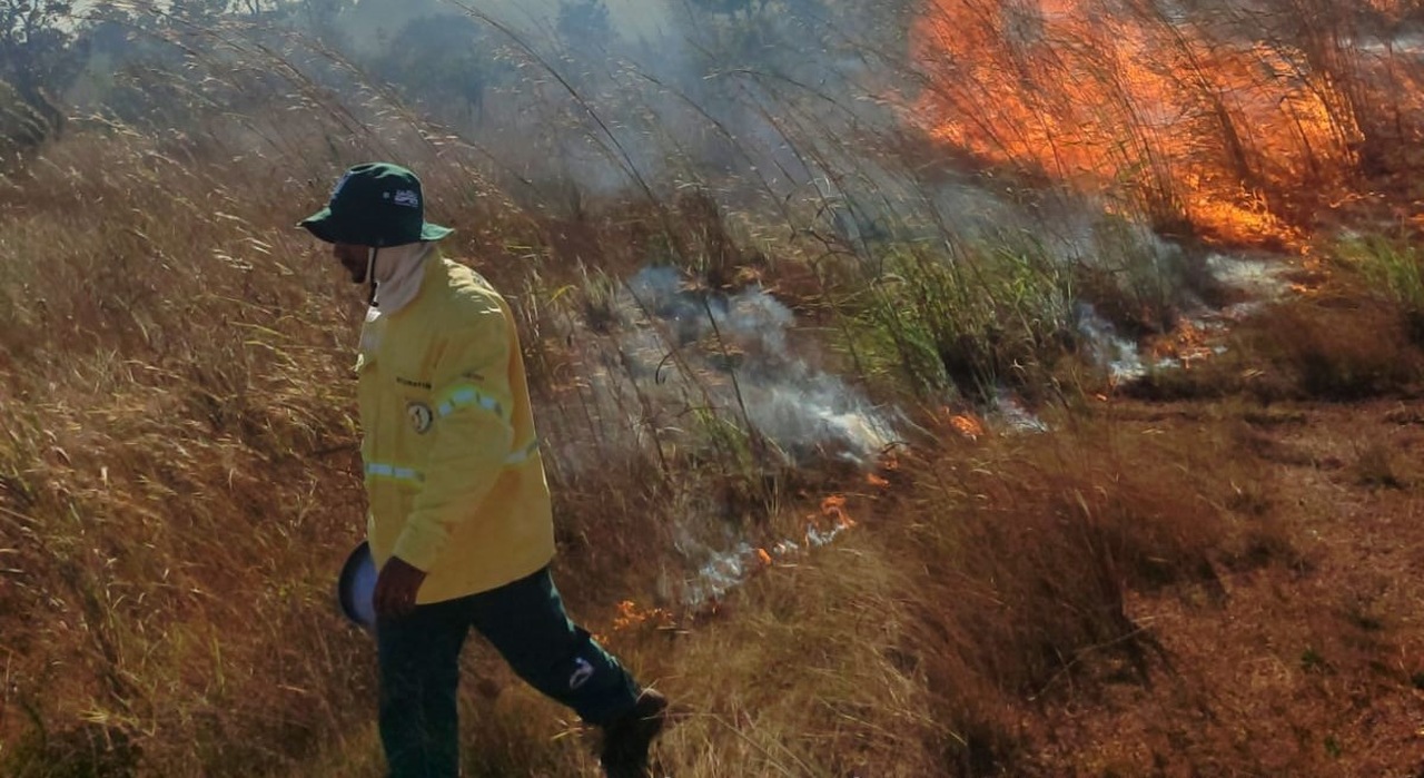 queima-prescrita-e-realizada-no-cantao-como-estrategia-de-prevencao-a-incendios-florestais