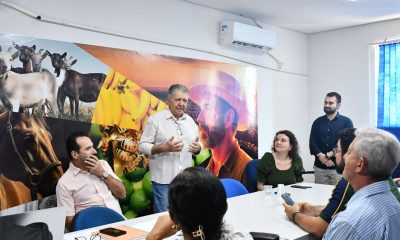 com-status-livre-da-aftosa-sem-vacinacao,-tocantins-busca-evitar-reintroducao-do-virus