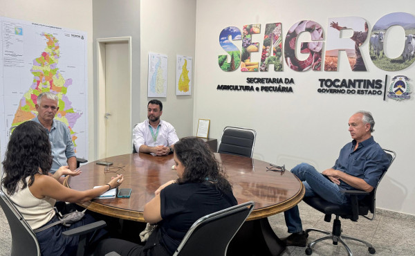 governo-do-tocantins-discute-expansao-energetica-para-atender-crescimento-da-producao-agricola
