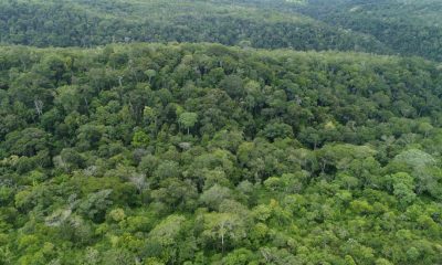 tocantins-reduz-desmatamento-em-20,7%-no-primeiro-semestre-de-2025-e-amplia-acoes-de-monitoramento