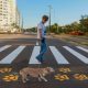prefeitura-de-palmas-alerta-sobre-cuidados-com-animais-de-estimacao-no-verao