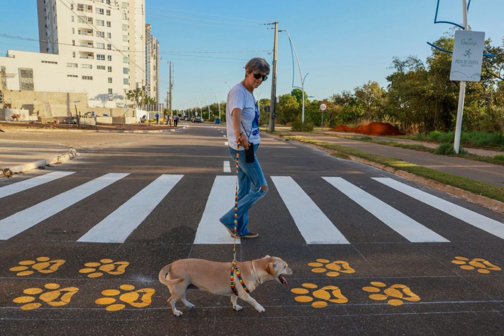 prefeitura-de-palmas-alerta-sobre-cuidados-com-animais-de-estimacao-no-verao