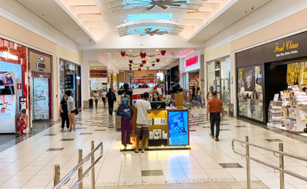 setor-de-servicos-no-tocantins-cresce-8,3%-no-acumulado-de-2025,-aponta-ibge