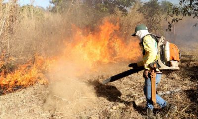 tocantins-em-alerta:-governo-intensifica-medidas-contra-incendios-florestais-na-zona-rural