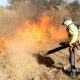 tocantins-em-alerta:-governo-intensifica-medidas-contra-incendios-florestais-na-zona-rural