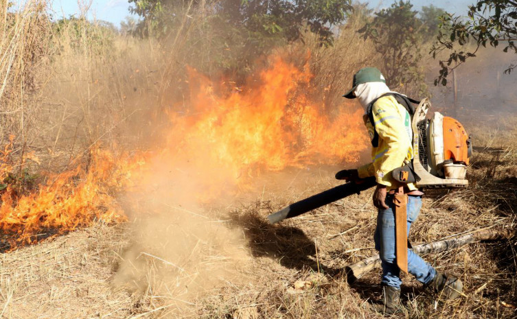 tocantins-em-alerta:-governo-intensifica-medidas-contra-incendios-florestais-na-zona-rural