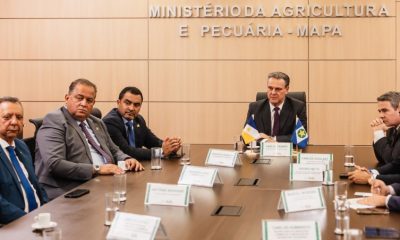 tocantins-busca-alternativas-para-exportar-carne-bovina-apos-tarifa-dos-eua