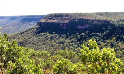 tocantins-registra-queda-de-19,9%-na-area-desmatada-nos-primeiros-sete-meses-de-2025