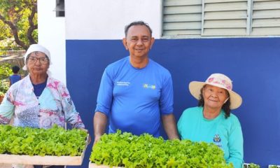 prefeitura-de-palmas-distribui-quatro-mil-mudas-de-alface-as-hortas-comunitarias-da-regiao-norte