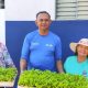 prefeitura-de-palmas-distribui-quatro-mil-mudas-de-alface-as-hortas-comunitarias-da-regiao-norte