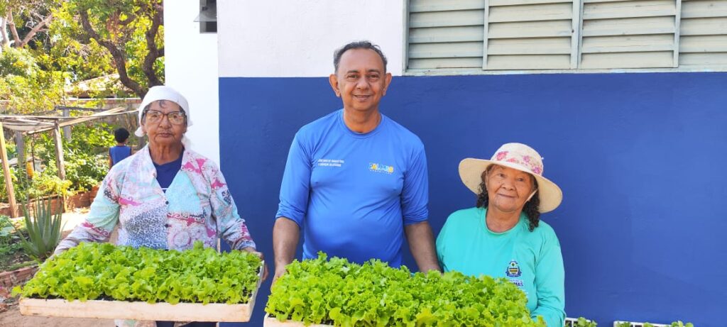 prefeitura-de-palmas-distribui-quatro-mil-mudas-de-alface-as-hortas-comunitarias-da-regiao-norte