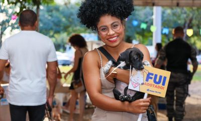 prefeitura-de-palmas-promove-feirinha-de-adocao-de-animais-de-estimacao-neste-sabado,-23 