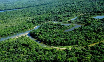 governo-do-tocantins-promove-monitoramento-de-rebanhos-e-aves-migratorias-na-ilha-do-bananal