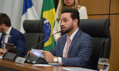 proposta-de-criacao-do-centro-de-reabilitacao-para-animais-de-rua-avanca-na-camara-de-palmas