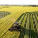 tocantins-se-consolida-como-terceiro-maior-produtor-de-arroz-do-brasil