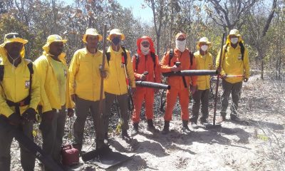 bombeiros-e-brigadistas-combatem-incendios-que-ja-devastaram-milhares-de-hectares-em-parana