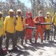 bombeiros-e-brigadistas-combatem-incendios-que-ja-devastaram-milhares-de-hectares-em-parana